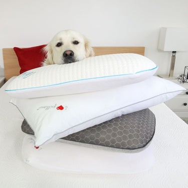 I Love Pillow Cumulus Gel-Coated Fiber Queen-Size Pillow, 2-Pack (F13-2CM)