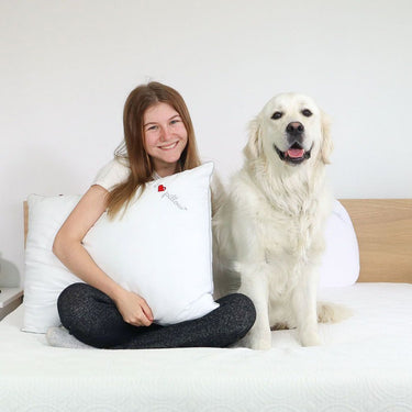 I Love Pillow Cumulus Gel-Coated Fiber Queen-Size Pillow, 2-Pack (F13-2CM)