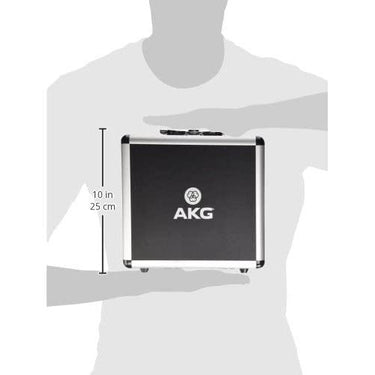 AKG P220 Vocal Condenser Studio Microphone with Case and Shock Mount (3101H00420)