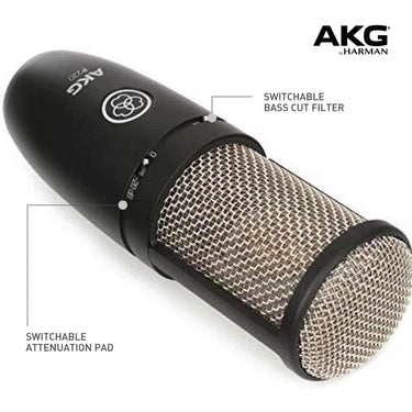 AKG P220 Vocal Condenser Studio Microphone with Case and Shock Mount (3101H00420)