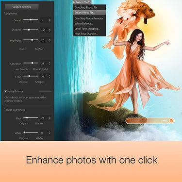 Corel Photo Video Suite PaintShop Pro with VideoStudio SE (Digital Download)