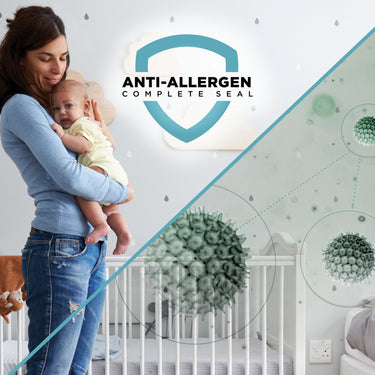 Shark Navigator Lift-Away Upright Vacuum Cleaner - NV380 (Factory Recertified)