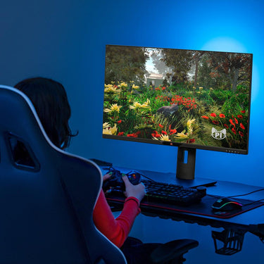 Deco Gear 28" 4K Ultrawide IPS Monitor, 60 Hz, 4 ms, 100% sRGB, 16:9 Open Box