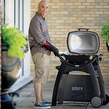 Weber Q 2000 Gas Series Cart