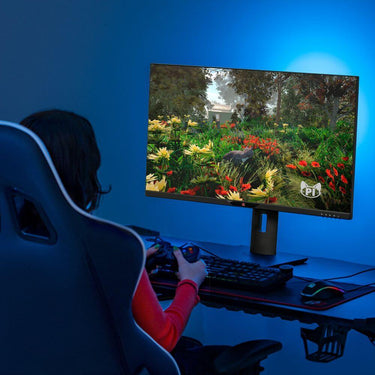 Deco Gear 28" 4K Ultrawide IPS Monitor, 60 Hz (2-Pack) Bundle with OBSBOT Tiny AI Webcam