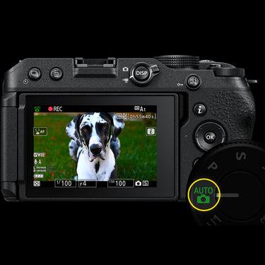 Nikon Z 30 DX-format Mirrorless Camera 4K UHD Body