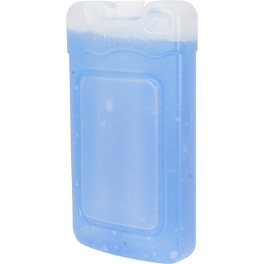 General Hard Shell Reusable Ice Pack