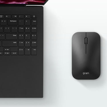LG Gram 2.4GHz Wireless Mouse  (MSA2.ABRU1)
