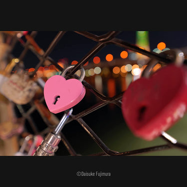 Panasonic Lumix 14-28mm f/4-5.6 Ultra Wide-Angle Macro L-Mount Lens - S-R1428