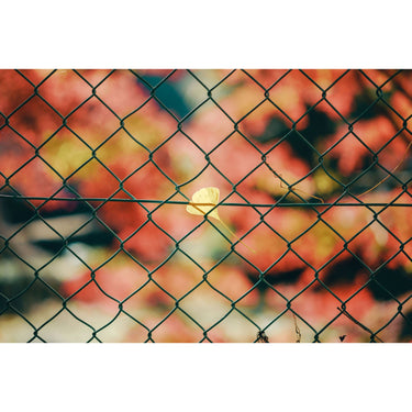 Sigma 50MM F1.4 DG DN Art Lens, Sony E-Mount