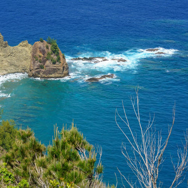 Tamron 50-400mm F4.5-6.3 Di III VC VXD Lens for Sony E-Mount Full Frame Cameras Bundle