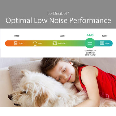 LG 22,000 BTU 230V Dual Inverter Air Conditioner (LW2217IVSM) - Factory Refurbished