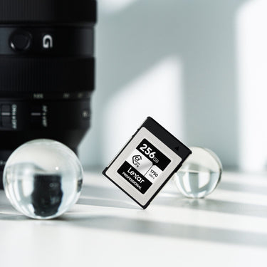 Lexar CFexpress Type B SILVER Series Memory Card - 256GB (LCXEXSL256G-RNENG)