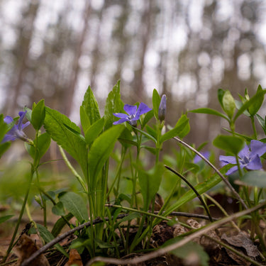 Sigma 16-28mm F2.8 DG DN Contemporary Lens Kit for Sony E-Mount Cameras Bundle
