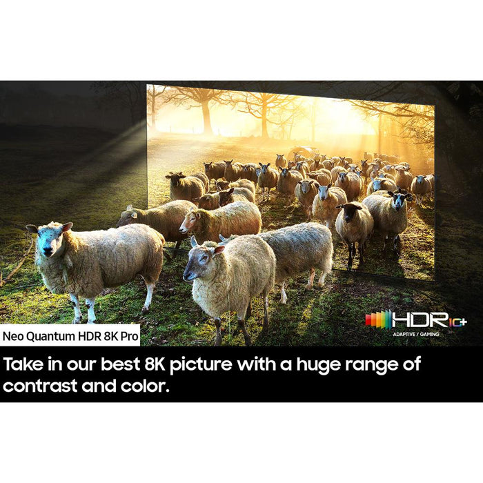 Samsung QN65QN900D 65" Neo QLED 8K Smart TV (2024) + 1 Year Extended Warranty Bundle