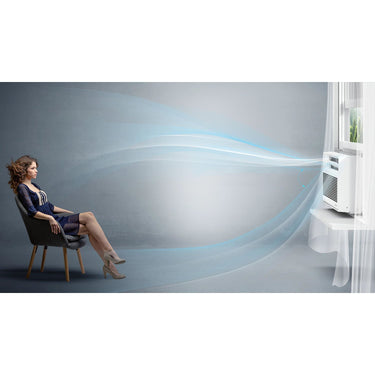 Friedrich Chill Premier Inverter 24,000 BTU Smart Window Air Conditioner