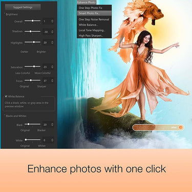 Corel Photo Video Suite PaintShop Pro with VideoStudio SE (Download) Open Box