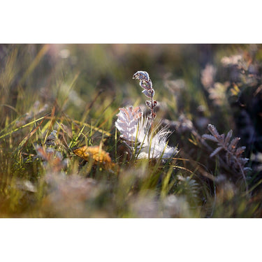 Tamron SP 70-200mm F/2.8 Di VC USD G2 Nikon F-Mount Lens Telephoto Zoom + Pro Bundle