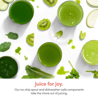 NutriBullet Slow Masticating Juicer Machine 150 Watts, Charcoal Black - Refurbished