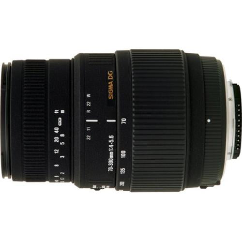 Sigma 70-300mm f/4-5.6 DG Macro Telephoto Zoom Lens for Canon DSLRs - Pro Lens Kit