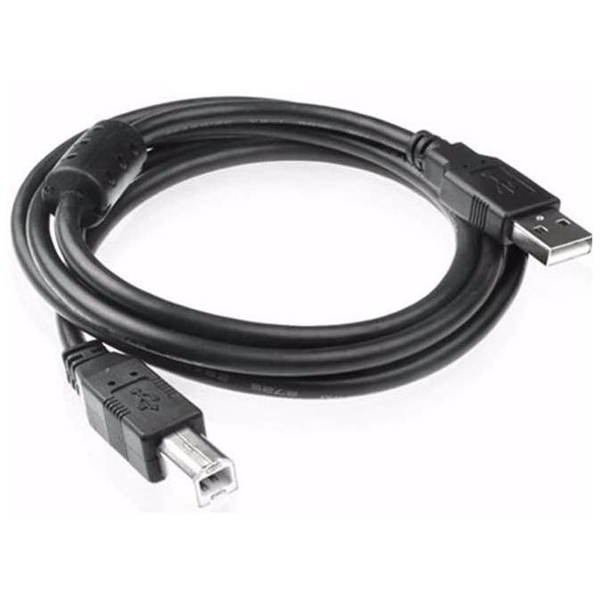 High-Speed 6FT Cable, USB Type-A Male to Type-B — Beach Camera