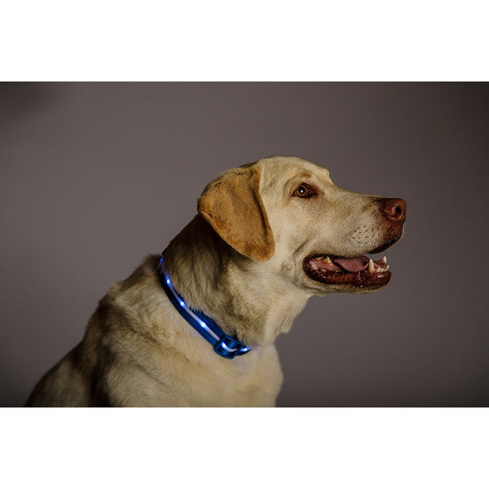 Deco Pet 18-Inch LED Dog Collar w/3 Light Modes for Night Safety, Battery-Powered - Blue