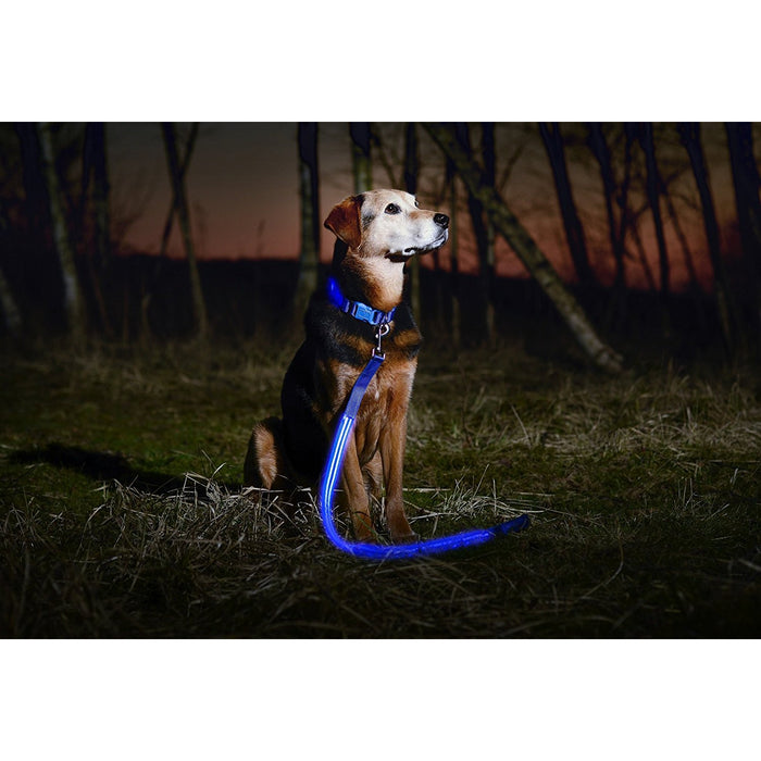 Deco Pet LED Dog Leash w/3 Light Modes for Night Safety, Battery-Powered - Blue