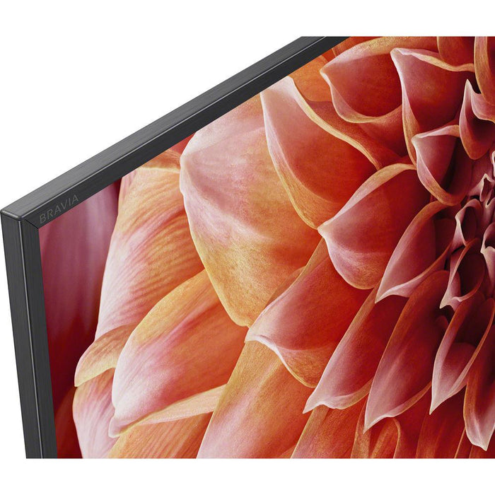 Sony XBR65X900F 65-Inch 4K Ultra HD Smart LED TV (2018 Model)