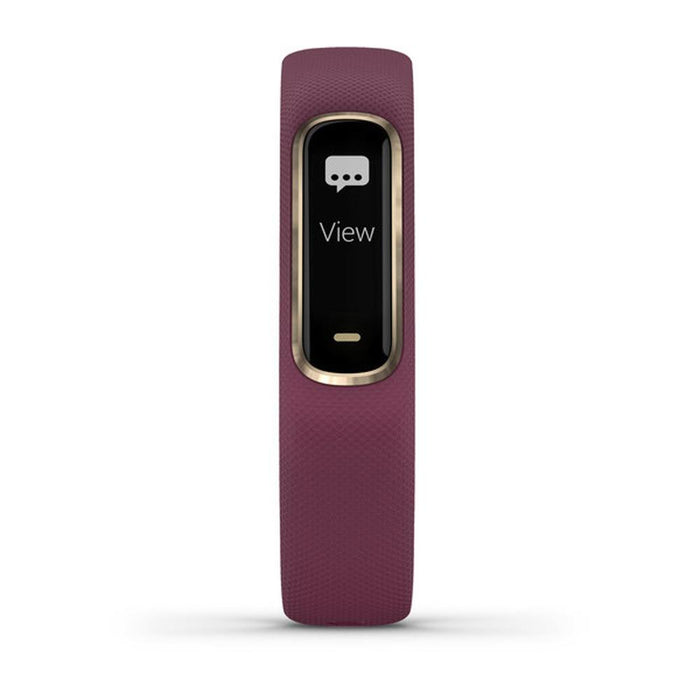 Garmin Vivosmart 4 Berry with Light Gold Hardware (S/M) + 7 Pcs Fitness Kit