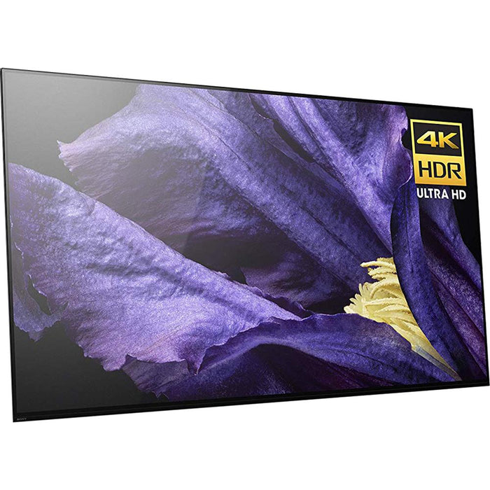 Sony XBR-65A9F 65" 4K Ultra HD Smart BRAVIA OLED TV (2018 Model)