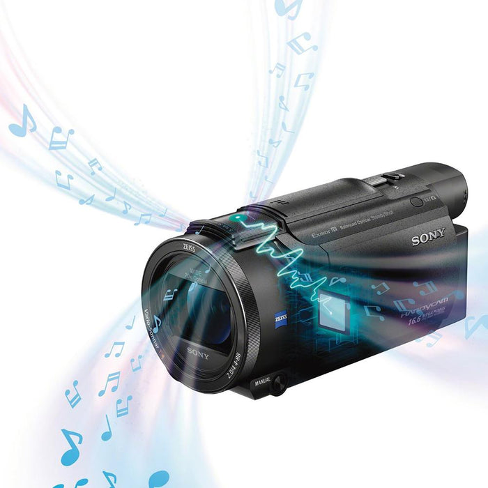Sony FDR-AX53 4K Ultra HD Handycam Camcorder FDRAX53/B Video Camera Deluxe Travel Kit