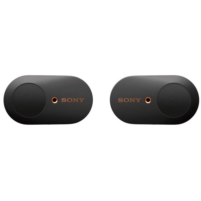 Sony WF-1000XM3 Noise Canceling Wireless Earbuds (Black) with Deco Gear Bag Bundle