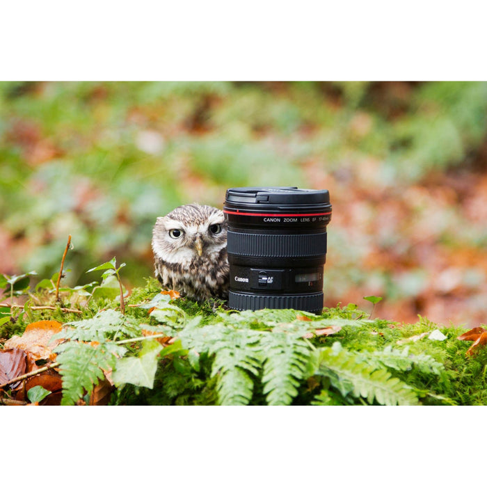 Canon EF 17-40mm F4 L USM Lens Kit Ultra Wide Angle Zoom for DSLR Camera Bundle