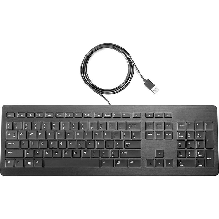 Hewlett Packard USB Premium Keyboard