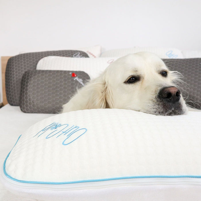 I Love Pillow Out Cold Queen-Size Side Sleeper Pillow with Memory Foam Core (T13-SS66)