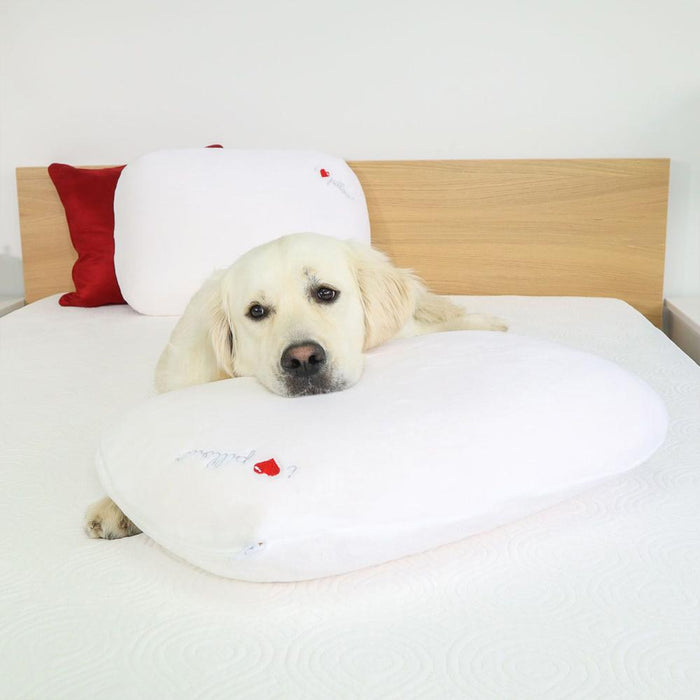 I Love Pillow Traditional Queen-Size Contour Pillow with Memory Foam Core 2 Pack C13-M