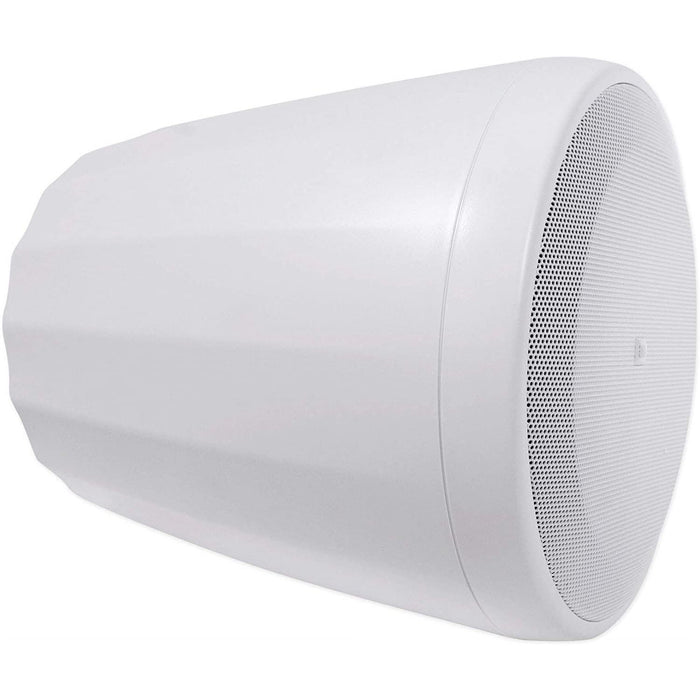 JBL 5.25" Extended Full-Range Pendant Speakers (Pair), White - C65P/T-WH