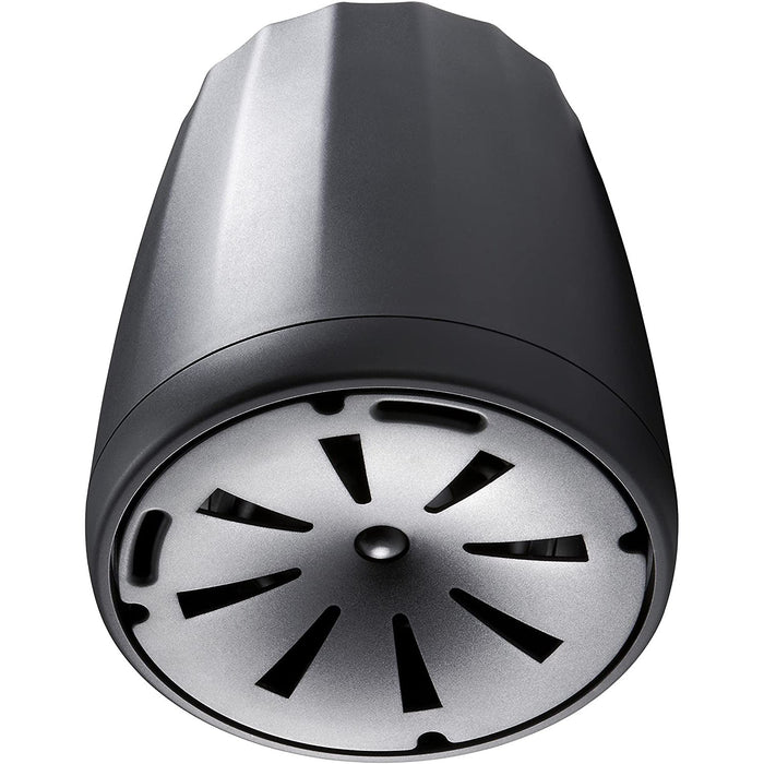 JBL 5.25" Extended Full-Range Pendant Speakers (Pair), Black - C65P/T