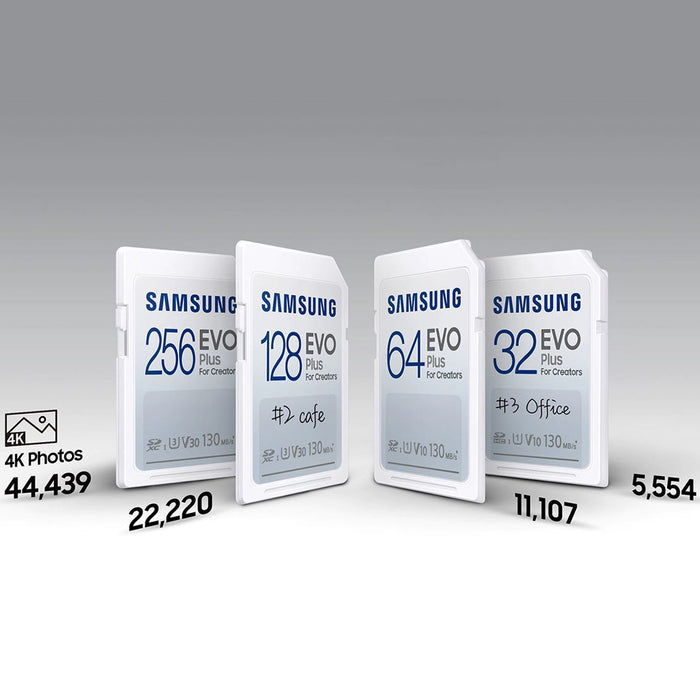Samsung EVO Plus Full-Size SDXC Memory Card, 256GB (MB-SC256K/AM)