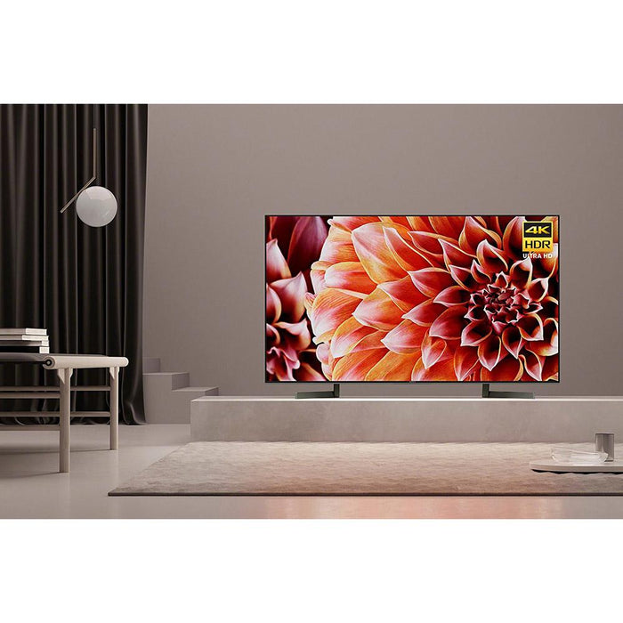 Sony XBR65X900F 65-Inch 4K Ultra HD Smart LED TV (2018 Model) - Refurbished
