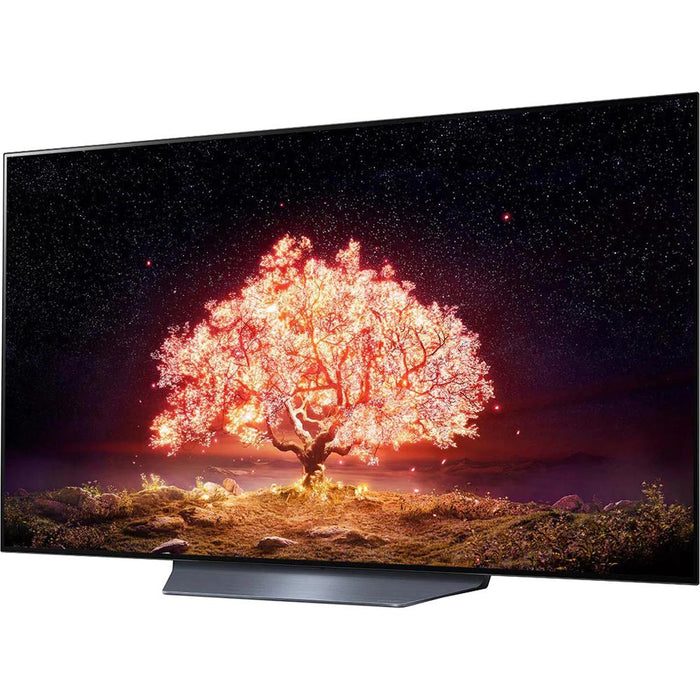 LG OLED55B1PUA 55 Inch OLED TV (2021 Model) + S90QY 5.1.3 ch Audio Sound Bar