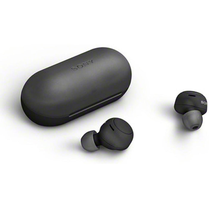 Sony WF-C500 Truly Wireless In-ear Headphones, Black w/ Warranty Bundle